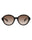 20355 - Havana Havana Brown