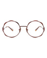 21181 - Brown Brown Transparent