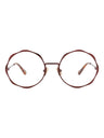 21181 - Brown Brown Transparent