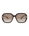 20355 - Havana Havana Brown