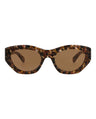 20355 - Havana Havana Brown