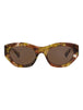 20355 - Havana Havana Brown