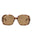 20355 - Havana Havana Brown