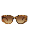 20355 - Havana Havana Brown