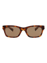 20355 - Havana Havana Brown