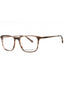 210 - BROWN CRYSTAL/Clear demo lens