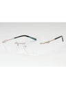 C02 - Shiny Silver/Gold / Clear Lens