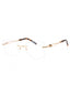 C01 - Shiny Gold/Tortoise / Clear Lens