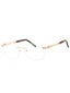 C01 - Shiny Gold/Tortoise / Clear Lens