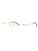 C01 - Shiny Gold/Tortoise / Clear demo lens