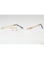 C01 - Shiny Gold/Silver / Clear Lens