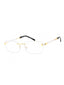 C01 - Shiny Gold / Clear Lens