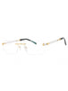 C03 - Shiny Gold/Silver / Clear Lens