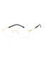 C03 - Shiny Gold/Silver / Clear Lens