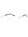 C01 - Shiny Gold / Clear Lens