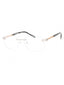 C02 - Shiny Silver/Gold / Clear Lens