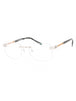C02 - Shiny Silver/Gold / Clear Lens