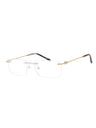 C02 - Shiny Argent/Gold / Clear Lens