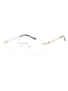 C02 - Shiny Silver/Gold / Clear Lens