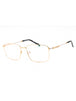 C03 - Shiny Gold/Silver / Clear Lens