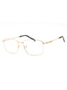 C03 - Shiny Gold/Silver / Clear Lens