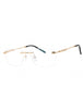 C01 - Shiny Gold / Clear Lens