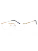 C03 - Shiny Gold/Silver / Clear Lens