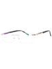 C02 - Shiny Silver/Grey Horn / Clear Lens