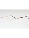 C01 - Shiny Gold/Tortoise / Clear Lens
