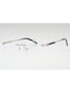 C02 - Shiny Silver/Grey Horn / Clear Lens