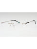 C02 - Shiny Silver/Grey Horn / Clear Lens