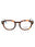 002 - DARK TURTLE/Clear demo lens