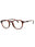 0EX4 00 - Brown horn/Clear demo lens