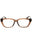 6251 - Shiny Transparent Brown/clear demo lens