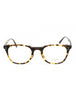303103 - Vintage Tortoise  / Clear demo lens
