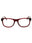 069 - shiny bordeaux / Clear demo lens