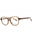 048 - shiny dark brown/clear demo lens