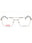 06LB 00 - Ruthenium Silver/clear demo lens