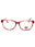 069 - Shiny Bordeaux / Clear demo lens