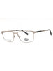 011 - matte light nickeltin/clear demo lens