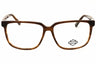 048 - shiny dark brown/clear demo lens