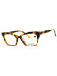 234 - STRIPED TOBACCO/Clear demo lens