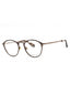 009Q 00 - BROWN/Clear demo lens