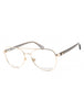 02F7 00 - Gold Grey / Clear Lens