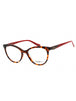 C2 - Tortoise / Clear Lens