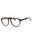 01AY - Shiny Dark Havana / Clear Lens