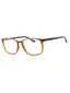 0EWD 00 - BROWN BLACK / Clear demo lens