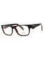 17N1O1 - Root Tortoise/Clear demo lens