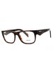 17N1O1 - Root Tortoise/Clear demo lens