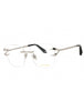 0579 - Palladium /Clear demo lens